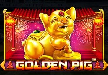 Golden Pig